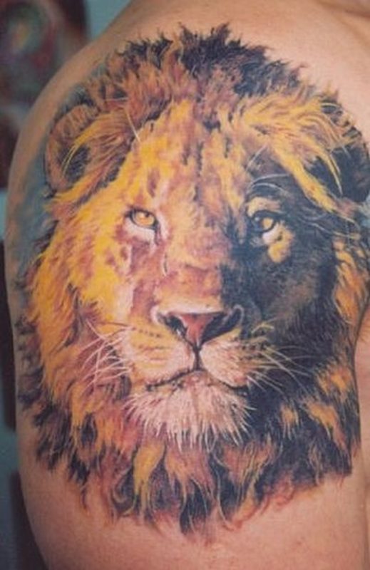 Adorable Lion Tattoo