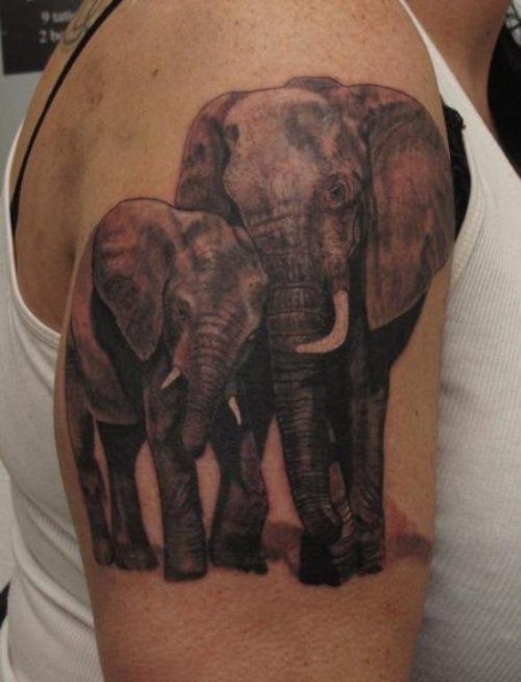 African Elephant Shoulder Tattoo