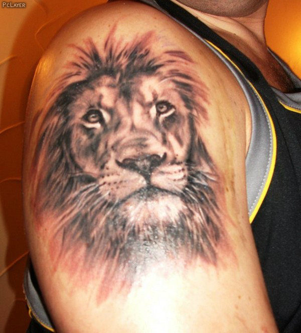 Amazing Lion Tattoo Design