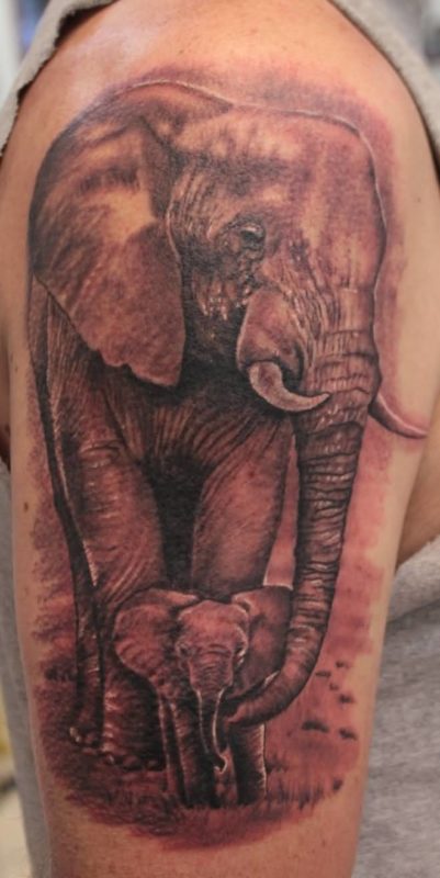 Amazing Elephant Tattoo !