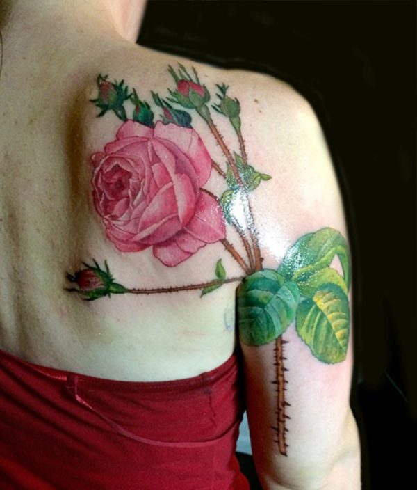 Amazing Pink Roses Shoulder Tattoo