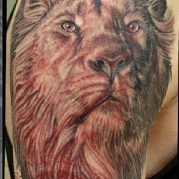 Amazing Red Lion Tattoo