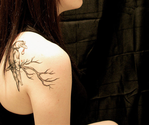 Amazing Shoulder Tattoo Of Bird On Right Shoulder