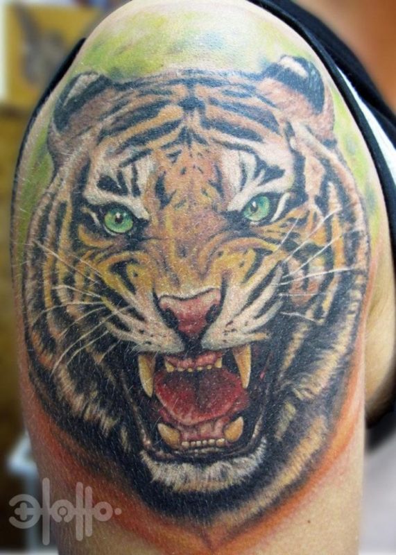 Amazing Tiger Face Tattoo Design