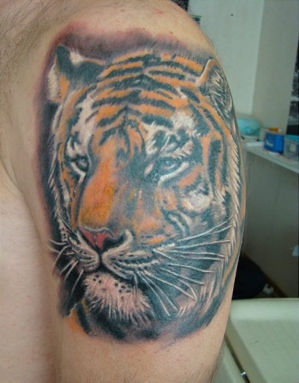 Amazing Tiger Shoulder Tattoo Design