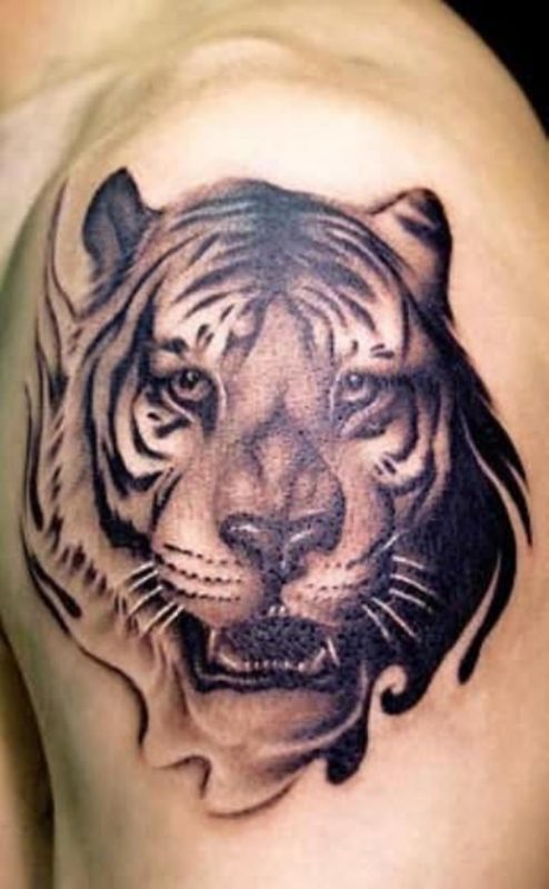 Amazing Tiger Tattoo On Left Shoulder