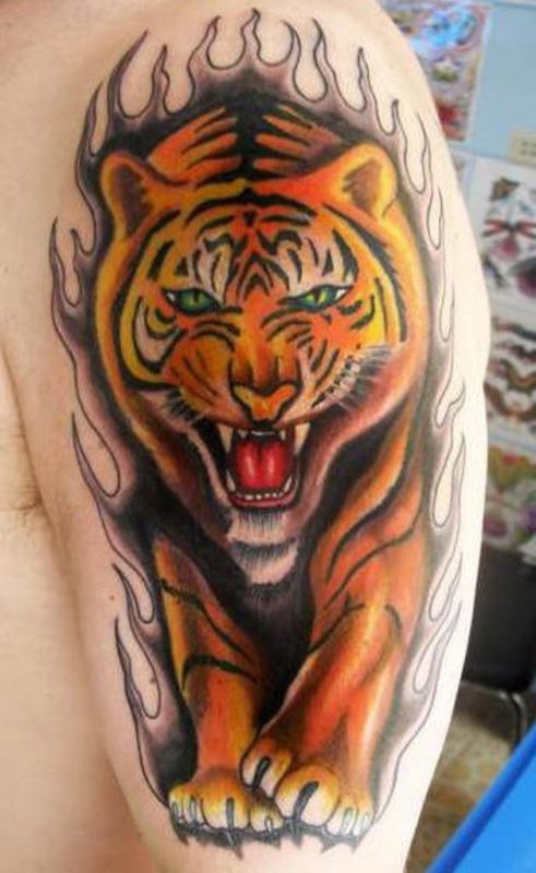 Tiger Tattoo Designs For Men