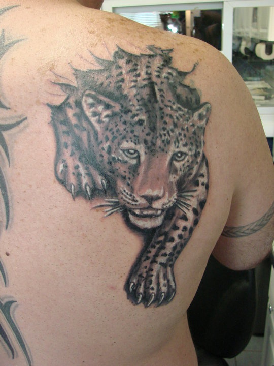 Anger Leopard Tattoo
