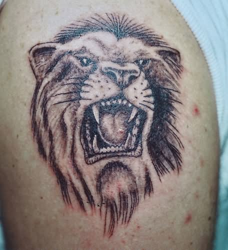 Angry Lion Tattoo On Shoulder