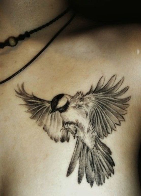 Attractive Bird Tattoo