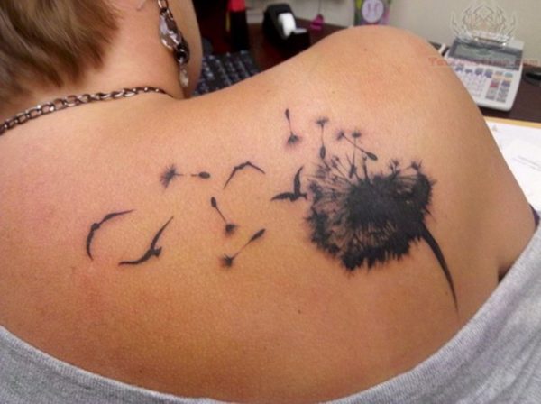 Attractive Birds Tattoo On Shoulder