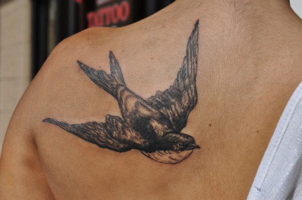 Black Flying Bird Shoulder Tattoo