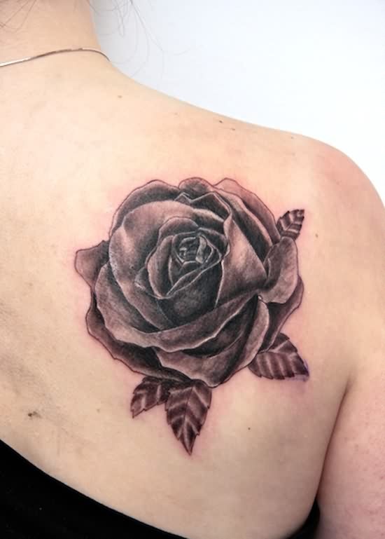 Black  Rose Shoulder Tattoo