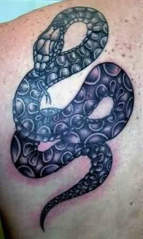 Black Snake Shoulder Tattoo