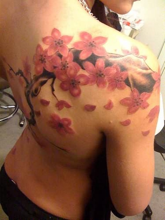 Beautiful Cherry Blossom Tattoo On Shoulder Back