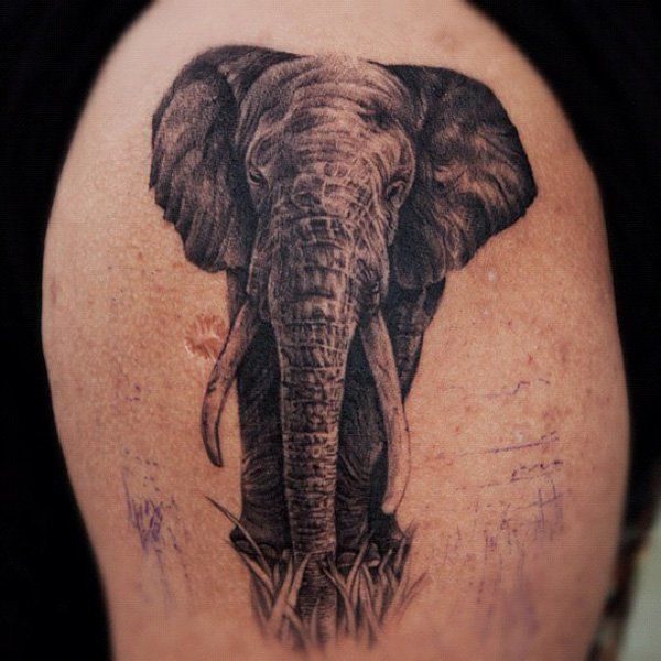 Beautiful Elephant Tattoo On Shoulder