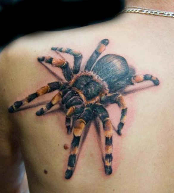 Big Spider Shoulder Blade Tattoo