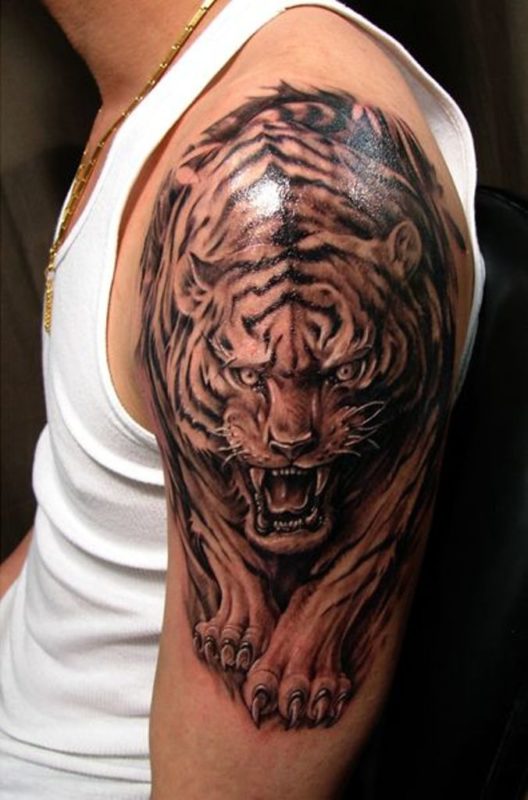 Black Tiger Tattoo On Shoulder