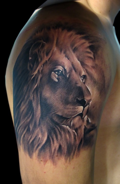 Calm Lion Shoulder Tattoo
