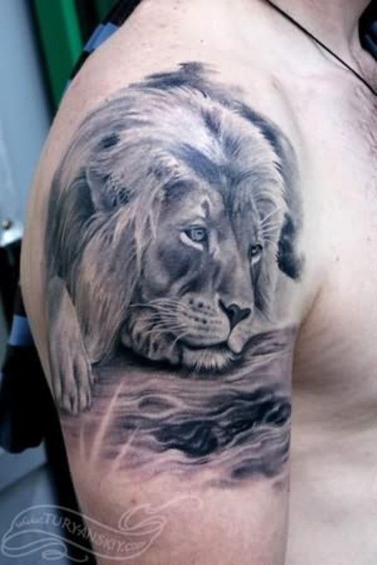 Calm Lion Tattoo