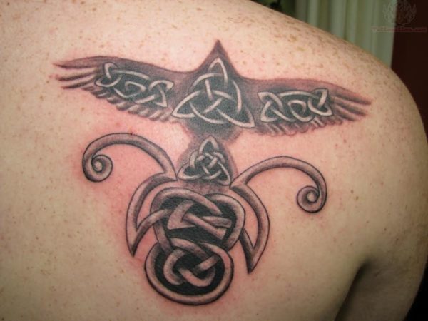 Celtic Crow Tattoo Design