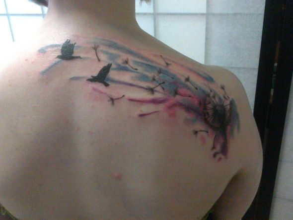 Colored Birds Shoulder Blade Tattoo