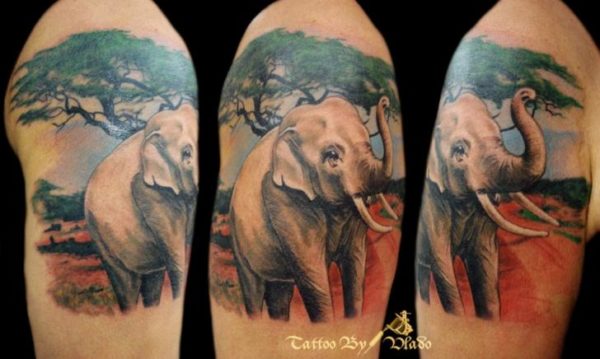 Colorful Elephant Tattoo On Shoulder !