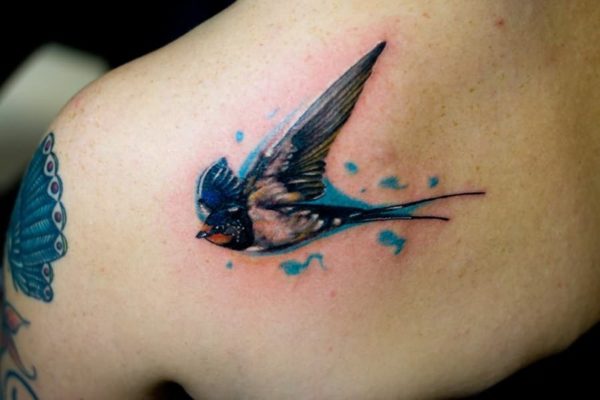 Cool Bird Shoulder Joint Tattoo