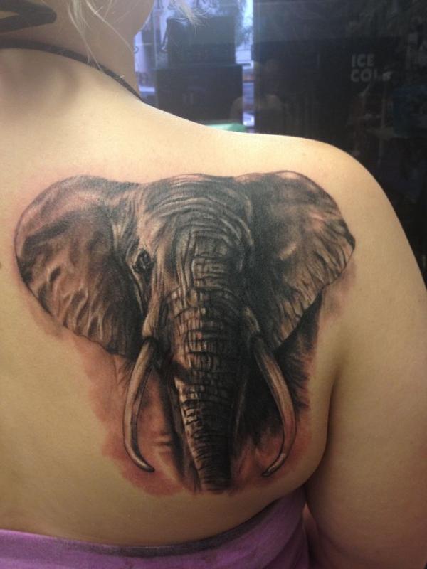 Cool Elephant Head Tattoo On Right Shoulder