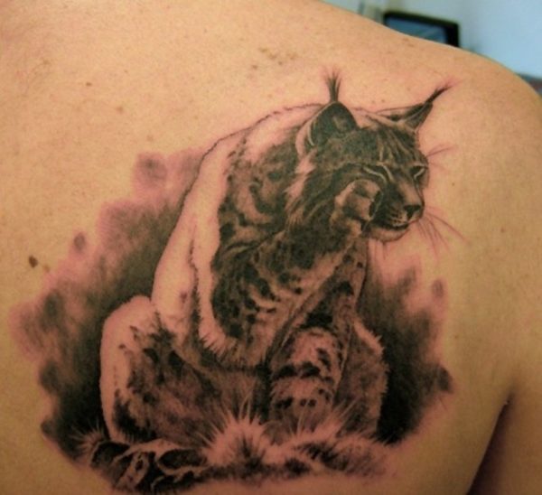 Cute Lynx At Shoulder Blade