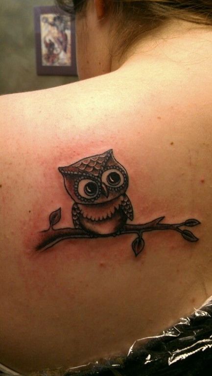 Cute Owl Tattoo On Back Shoulder