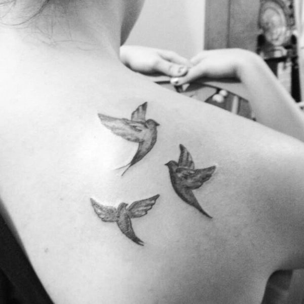 Dove Tattoo On Shoulder