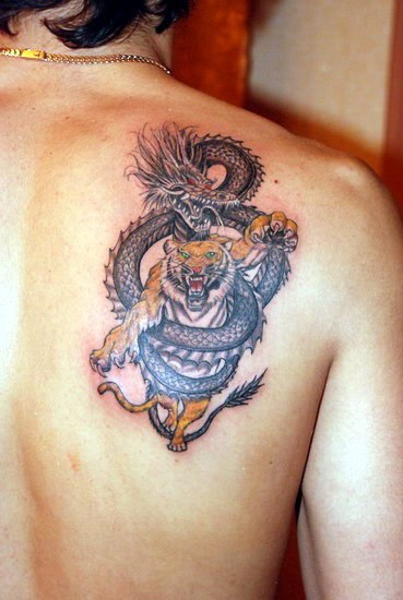 Dragon And Tiger Shoulder Blade Tattoo