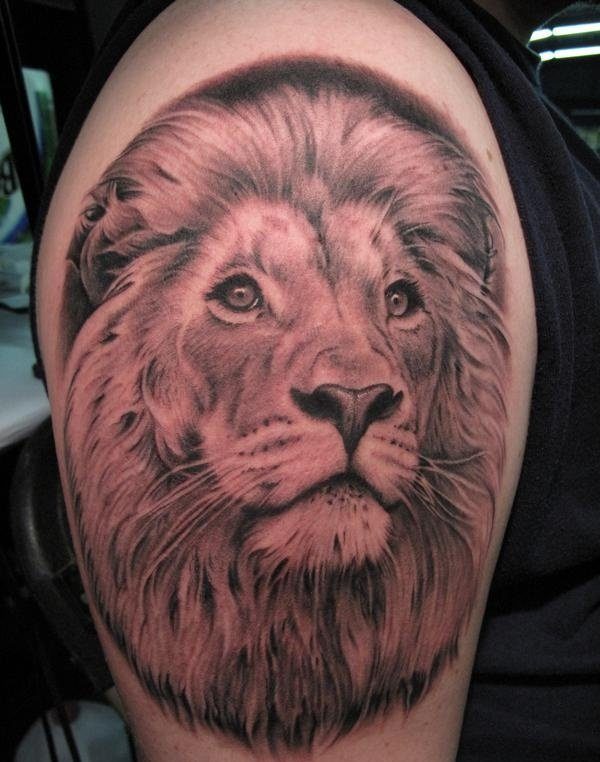 Elegant Lion Tattoo On Shoulder