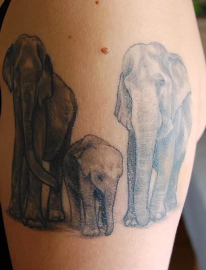 Elephants Tattoo On Shoulder
