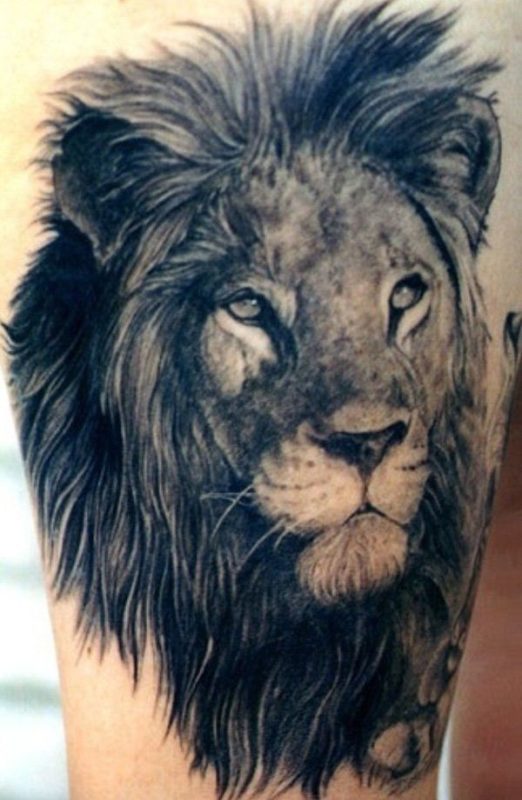 Fabulous Lion Tattoo Design