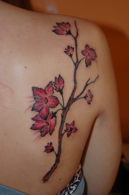 Feminine Cherry Blossom Tattoo Design On Back Shoulder