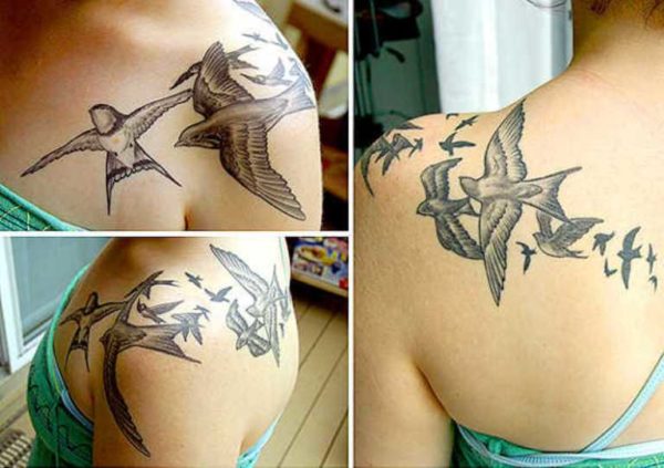 Flock Of Birds On Shoulder Back