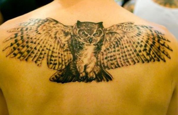 Flying Owl Tattoo On Shoulder