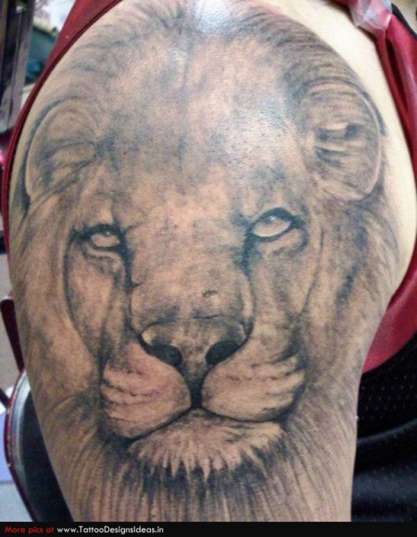 Grey Ink Lion Shoulder Tattoo