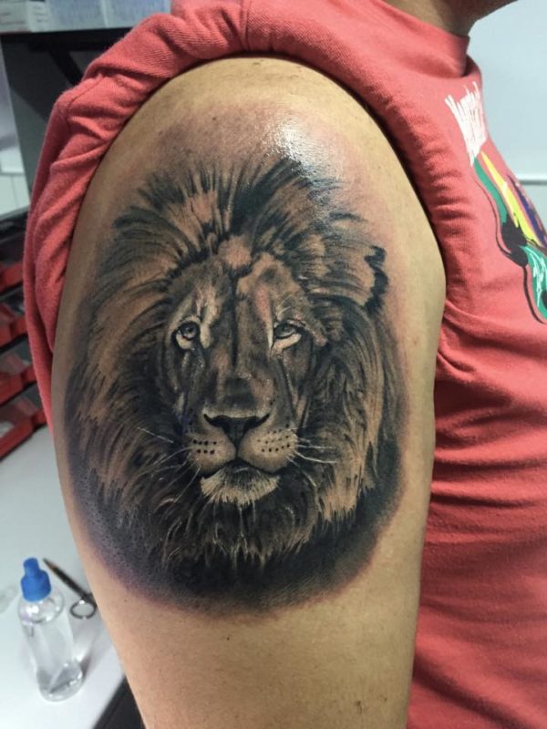 Grey Ink  Lion Tattoo On Shoulder