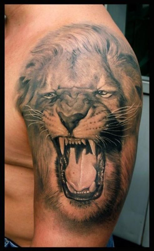 Grey Lion Shoulder Tattoo Design