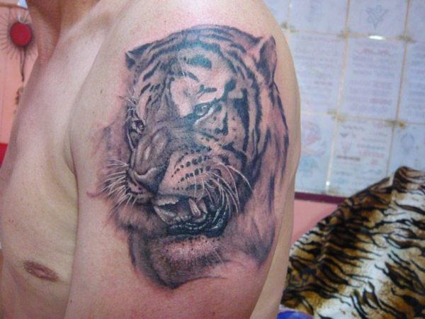Grey Tiger Face Shoulder Tattoo