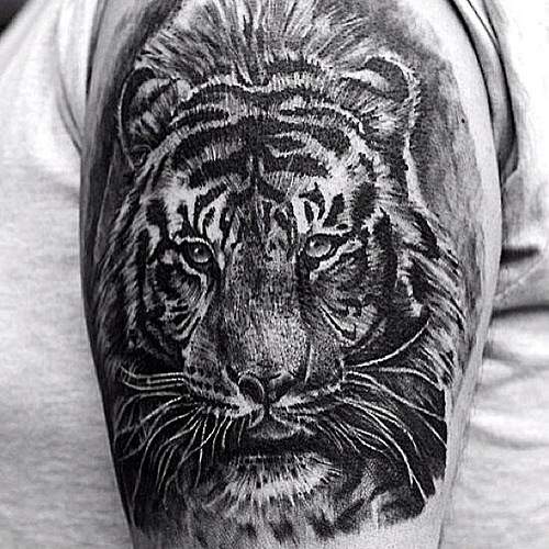Grey Tiger Face Tattoo