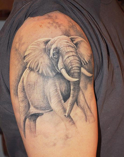 Healthy Elephant Tattoo On Shoulder