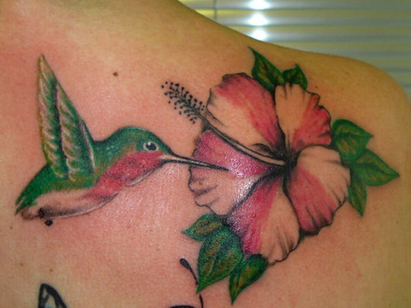 Hummingbird And Hibiscus Tattoo