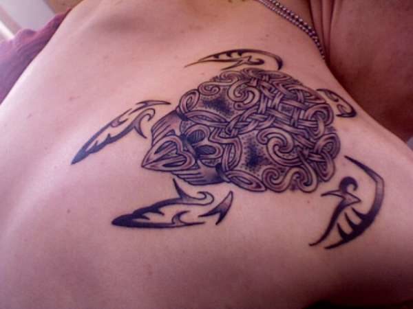 Celtic Knot Turtle Tattoo On Shoulder