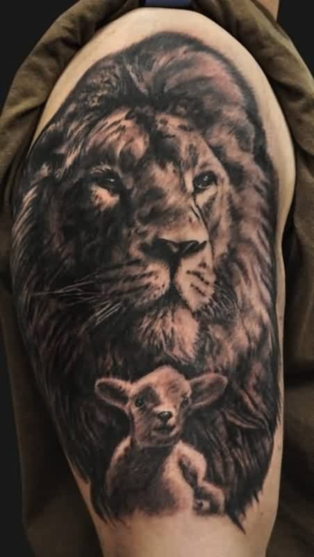 Lion And Lamb Shoulder Tattoo