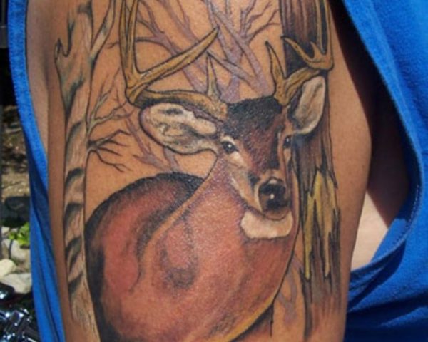 Lovely Deer Tattoo On Shoulder