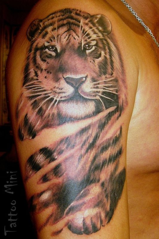 Lovely Tiger Tattoo-